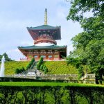 JAPÓN EN PRIMAVERA: Sakura